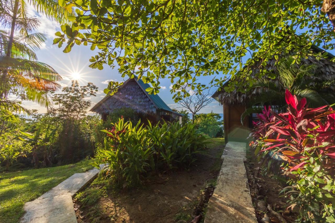 Punta Marenco Lodge Drakes Bay エクステリア 写真