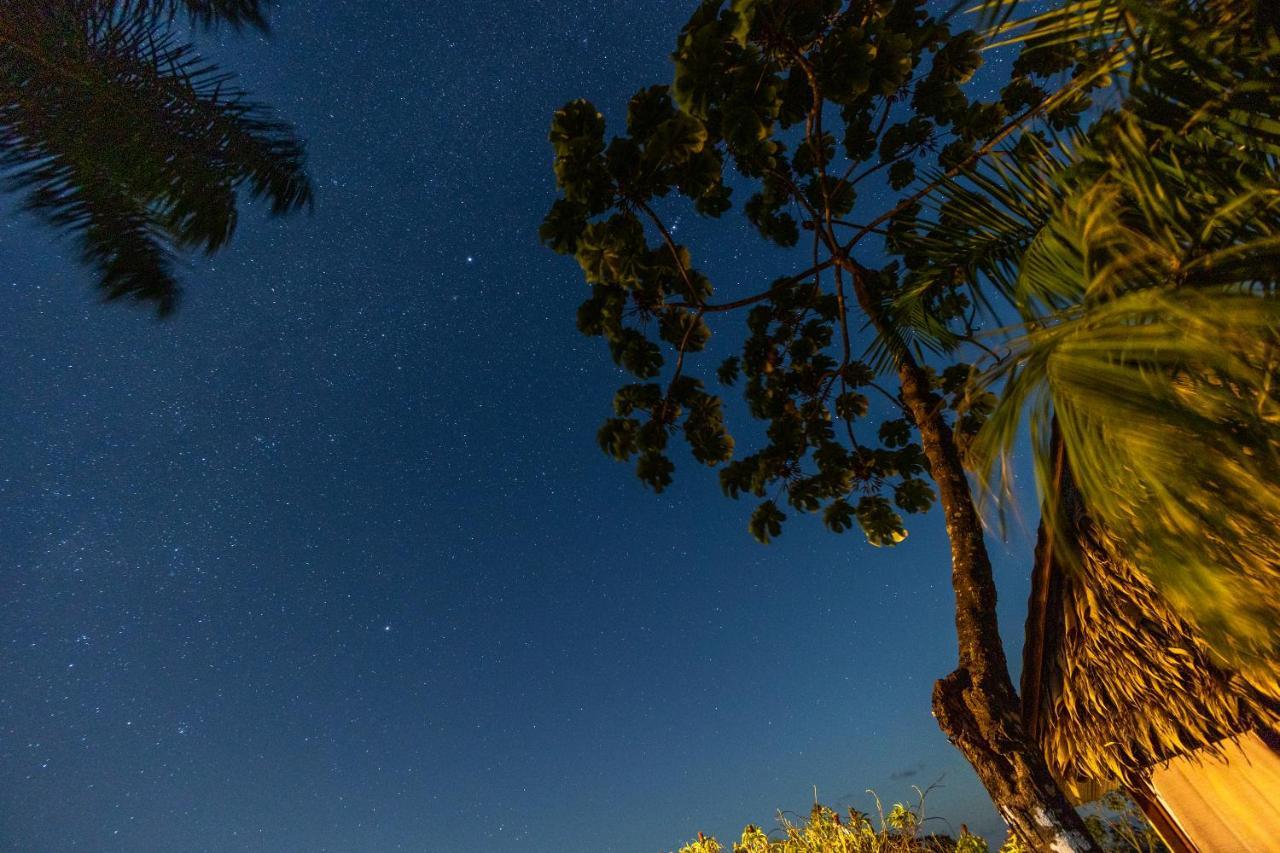 Punta Marenco Lodge Drakes Bay エクステリア 写真